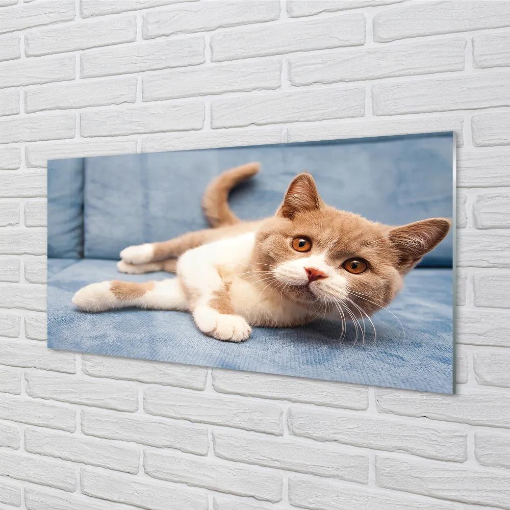 Obraz na akrylátovom skle Ležiace mačka 100x50 cm