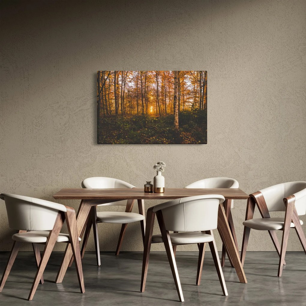 Obraz jesenného lesa (90x60 cm)