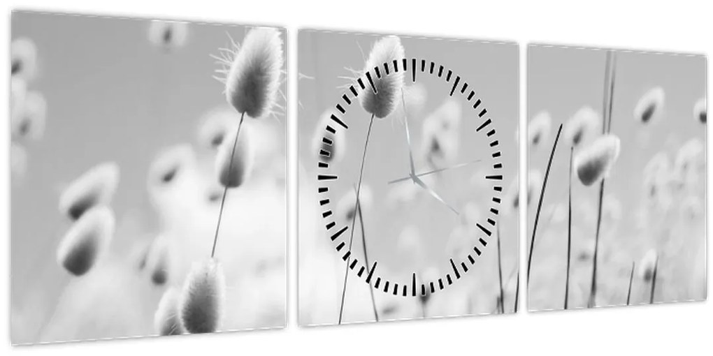 Obraz - Boho bunny tail grass (s hodinami) (90x30 cm)