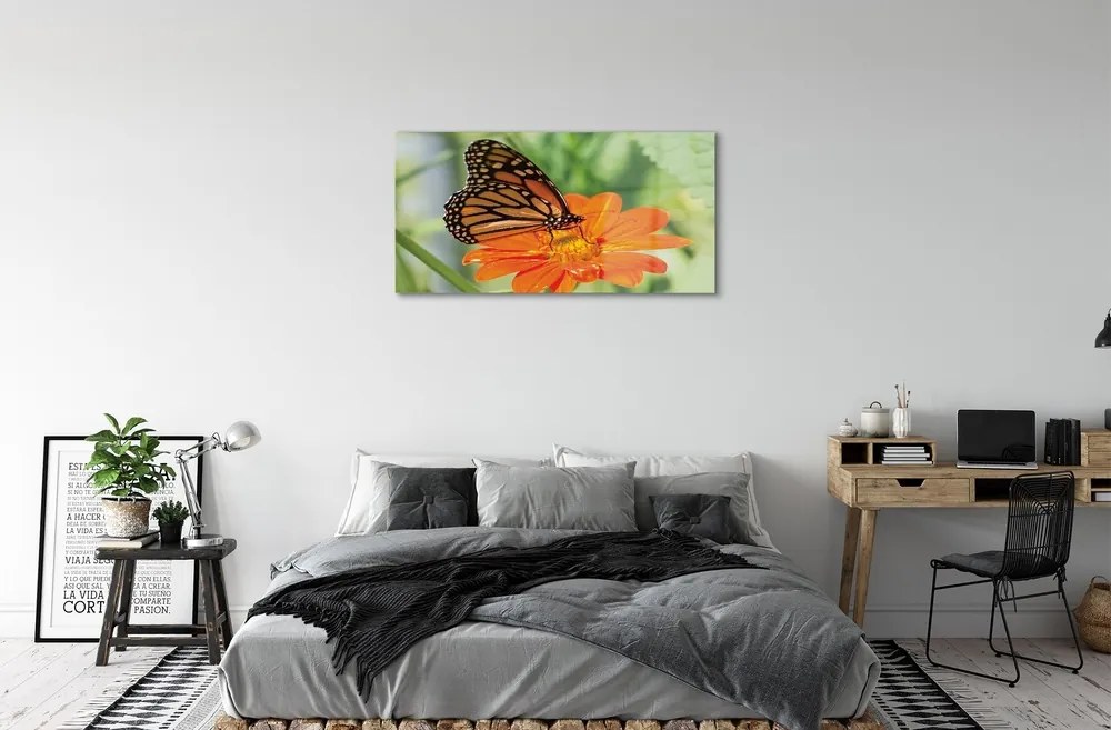 Sklenený obraz Kvet farebný motýľ 100x50 cm