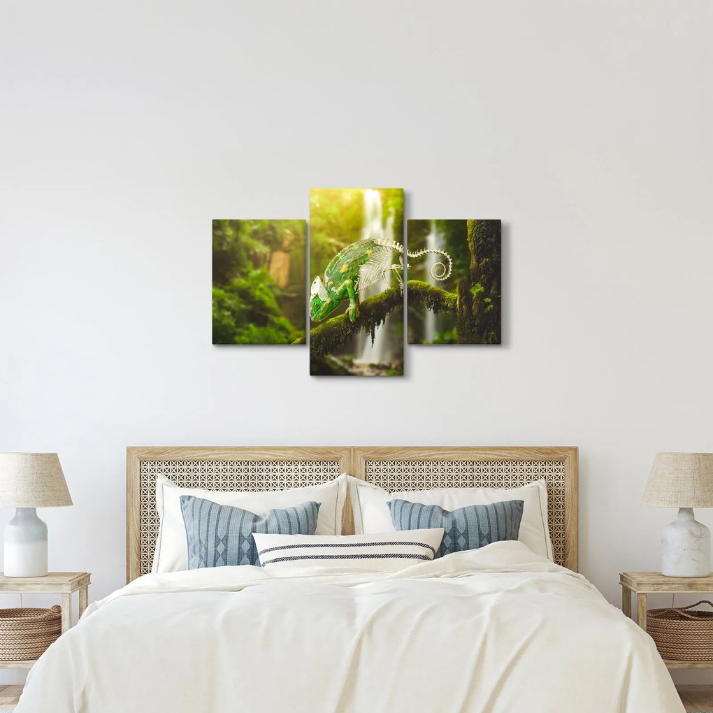 Obraz chameleóna (90x60 cm)