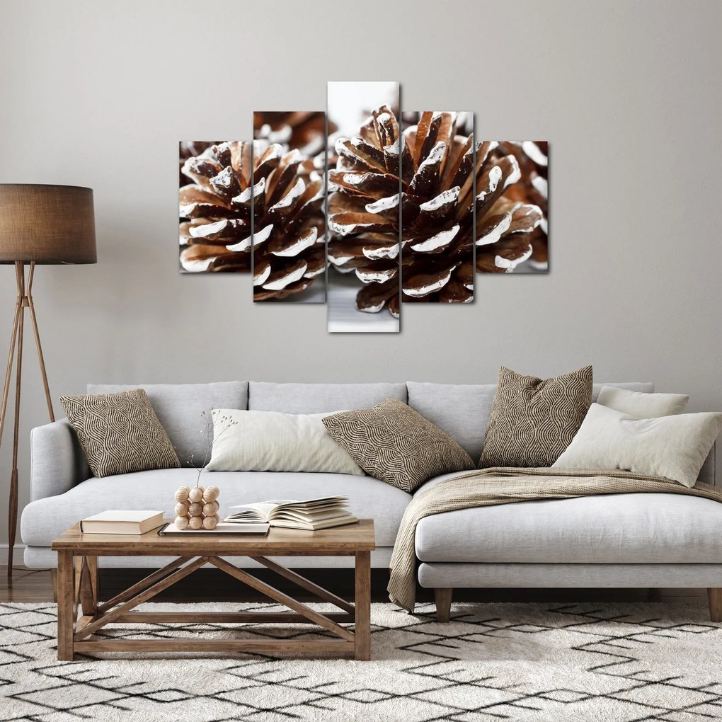 Obraz - Šišky (150x105 cm)