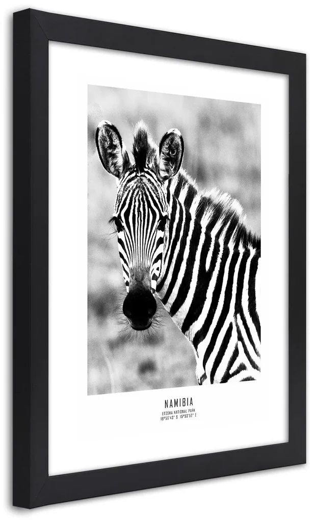 Gario Plagát Zvedavá zebra Farba rámu: Bez rámu, Rozmery: 20 x 30 cm
