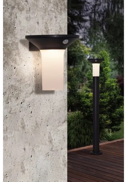 Eglo 900244 - LED vonkajšia solárna lampa s pohybovým senzorom 6xLED/0,03W/3,7V IP44