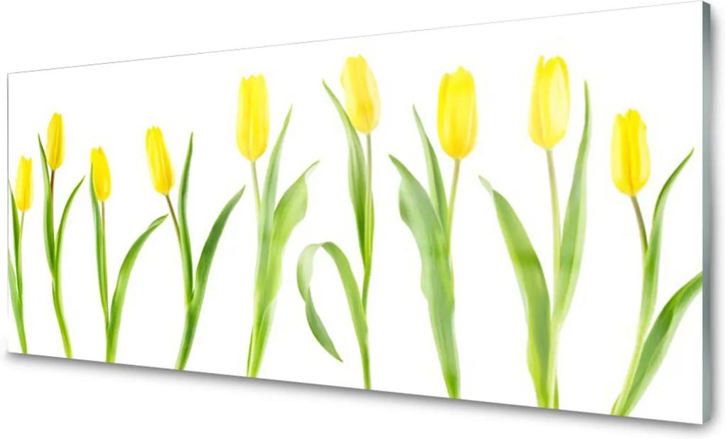 Obraz plexi Žlté Tulipány Kvety