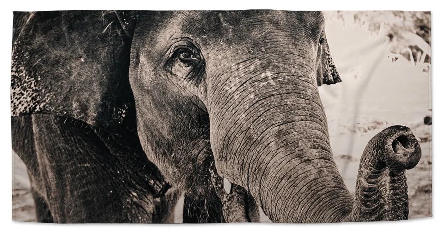 Sablio Uterák Slon - 30x50 cm
