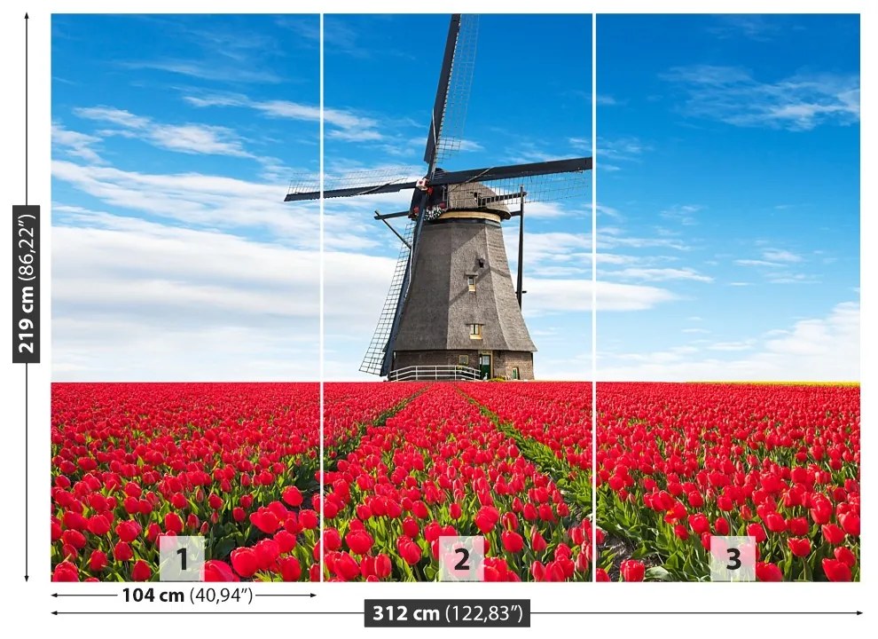 Fototapeta Vliesová Veterný mlyn tulipány 208x146 cm