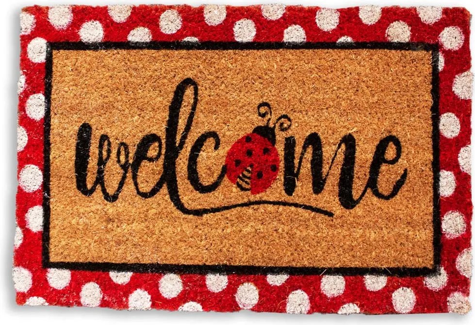 Home Elements Rohožka Bodky