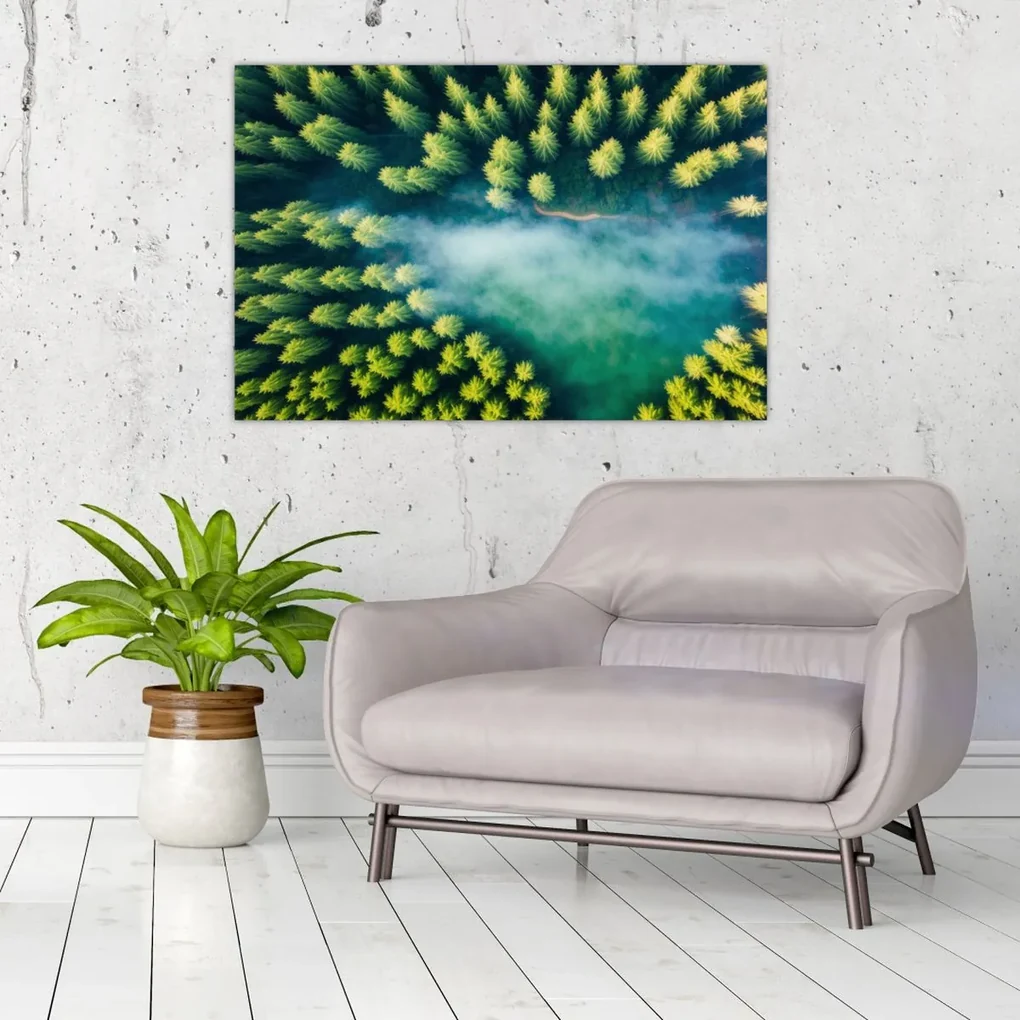 Obraz - Hmlou zahalený les (90x60 cm)