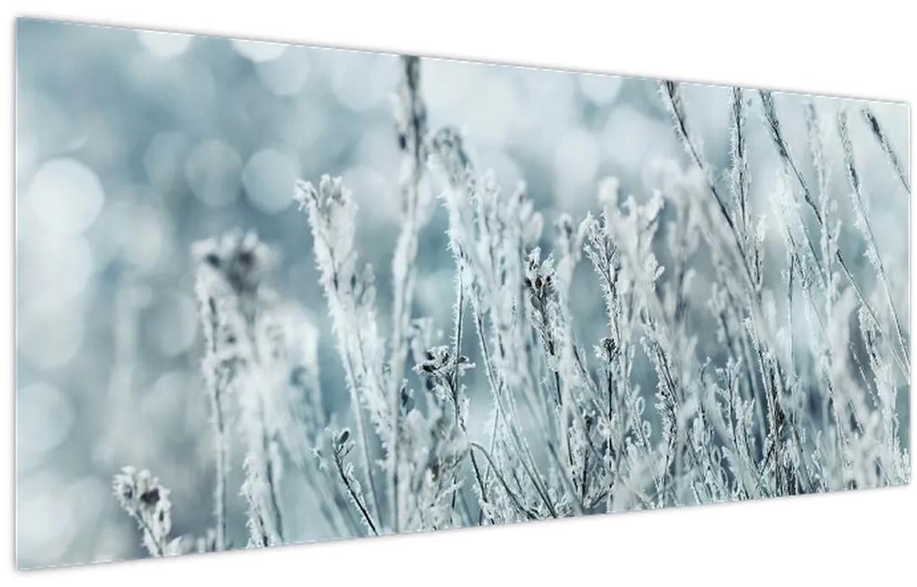 Obraz - Kúzlo zimy (120x50 cm)