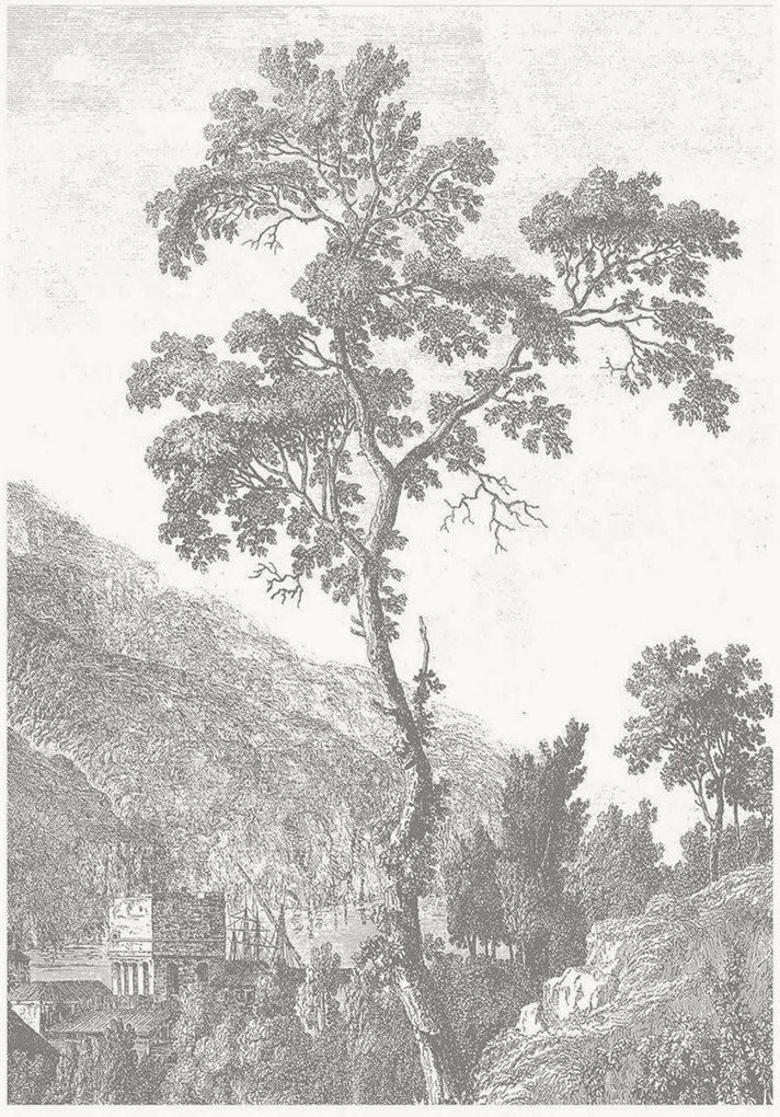 Vliesová tapeta Engraved Landscapes I