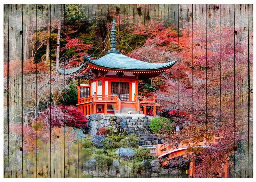 Samolepiaca fototapeta Autumnal Japan