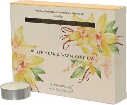 XXXLutz SADA ČAJOVÝCH SVIEČOK 12 kus vanilka, pižmo - Sviečky & svietniky - 003754940502