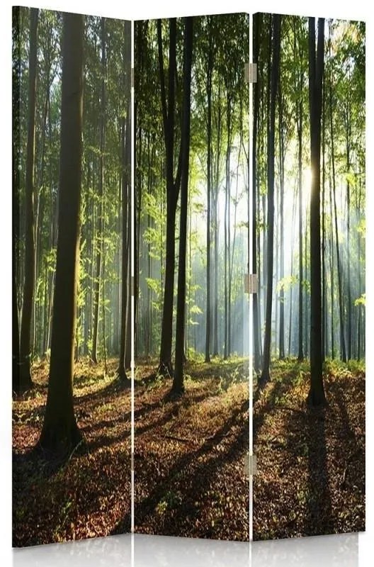 Ozdobný paraván Lesní zelená příroda - 110x170 cm, trojdielny, klasický paraván