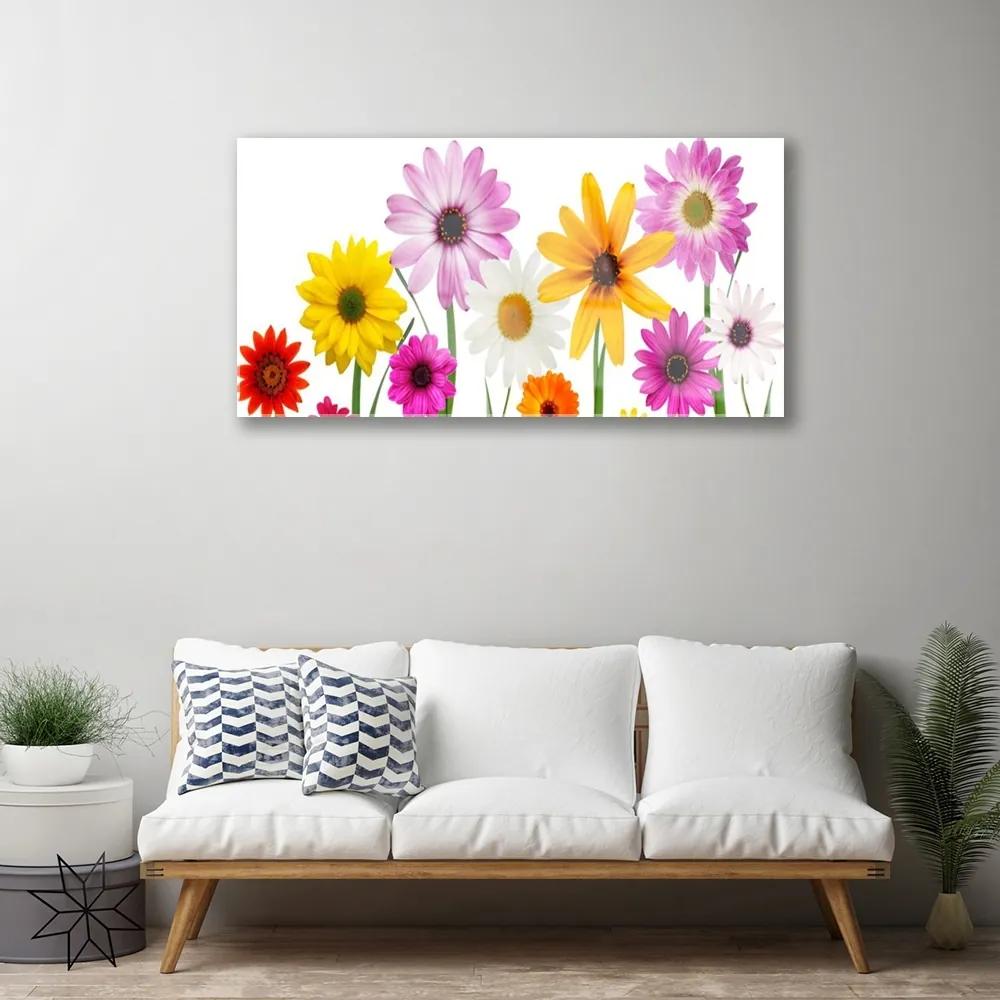 Skleneny obraz Farebné kvety príroda 140x70 cm