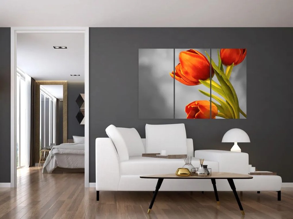 Obraz tulipánov