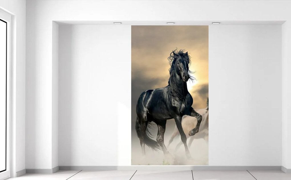 Gario Fototapeta Nádherný čierny kôň Materiál: Samolepiaca, Rozmery: 200 x 135 cm