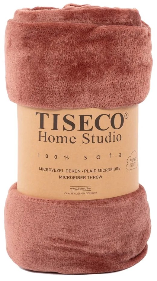Mikroplyšový pléd v tehlovej farbe 220x240 cm Plaid – Tiseco Home Studio