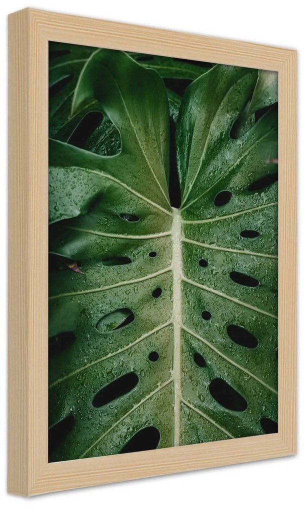 Gario Plagát List ikonickej monstery Farba rámu: Bez rámu, Rozmery: 20 x 30 cm