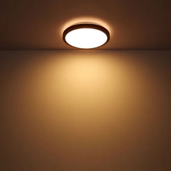 Globo 41764-12 - LED Stropné svietidlo BRUNO LED/12W/230V 307 mm 3000/4500/6000K