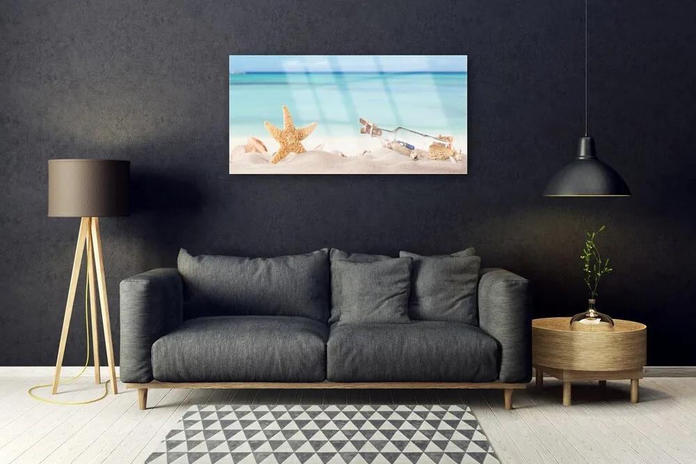 Skleneny obraz Hviezdice mušle pláž 140x70 cm