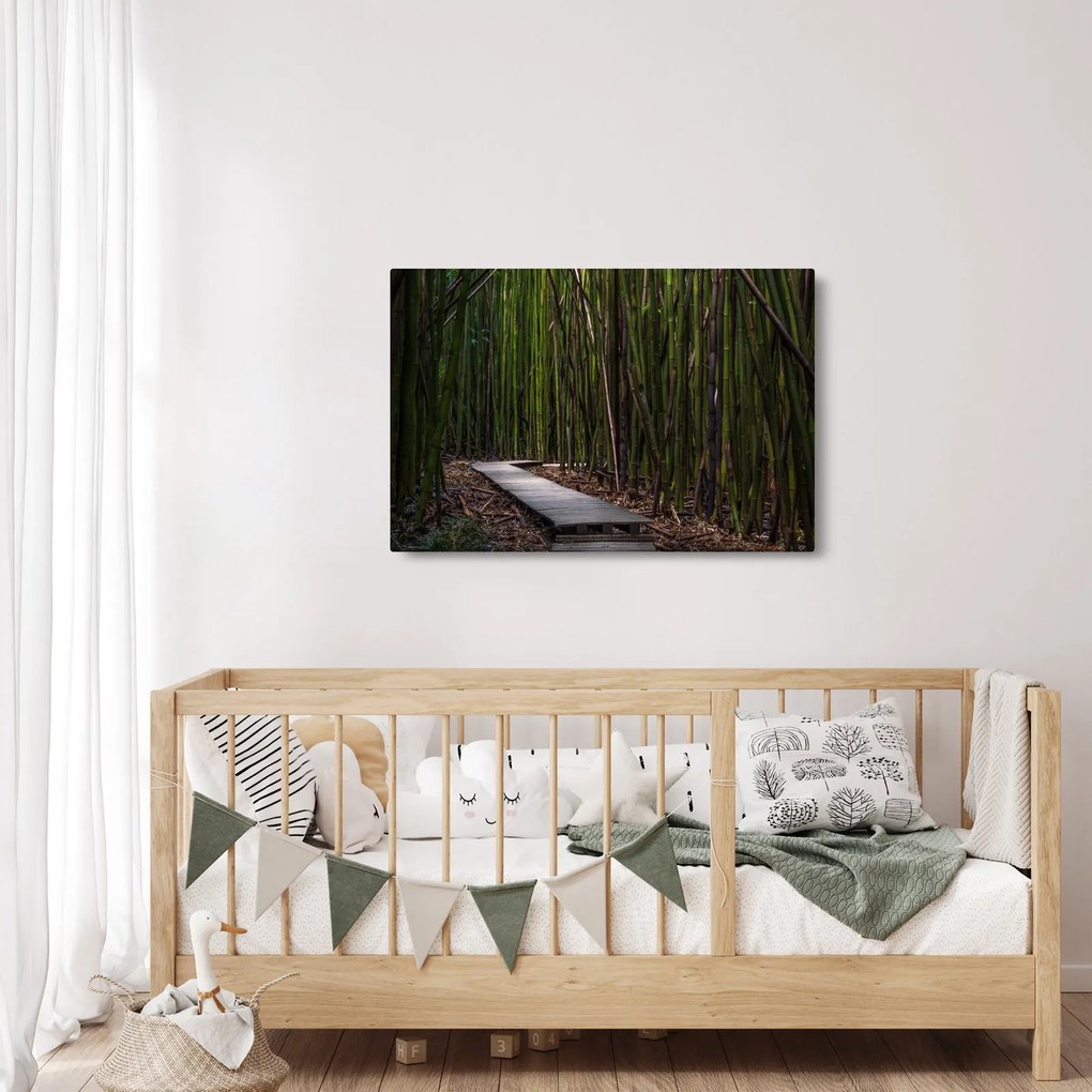 Obraz - Medzi bambusy (90x60 cm)