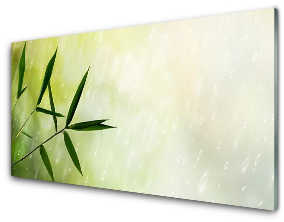 Obraz na skle Listy dážď 100x50 cm