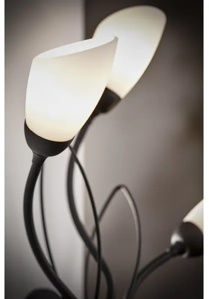 Jupiter 2059 - Nástenné svietidlo GLORIOSA 3xG9/14W/230V čierna