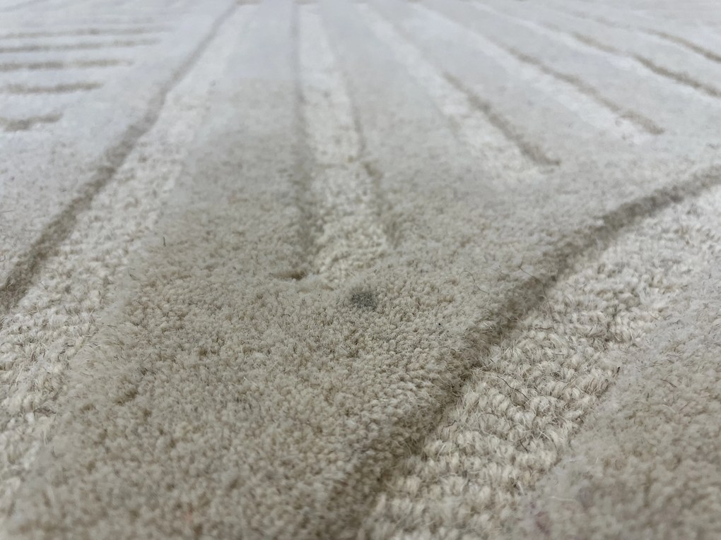 Flair Rugs, POŠKODENÝ Kusový koberec Solace Zen Garden Natural, 200x290, béžová, obývacia izba