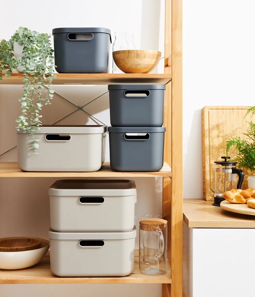 Rotho Úložný box, rovný s vekom, 12 l, antracit ALBU LIGHT, 40 x 24 x 18 cm