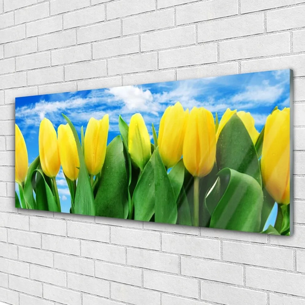 Obraz na akrylátovom skle Tulipány kvety 125x50 cm