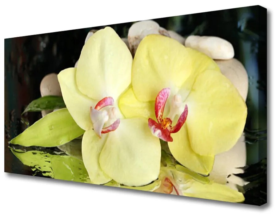 Obraz Canvas Okvetné plátky orchidea 120x60 cm