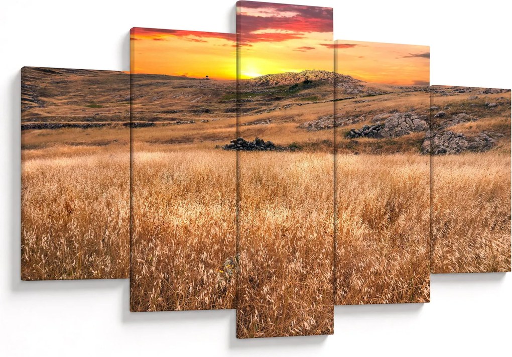 Obraz pole (150x105 cm)
