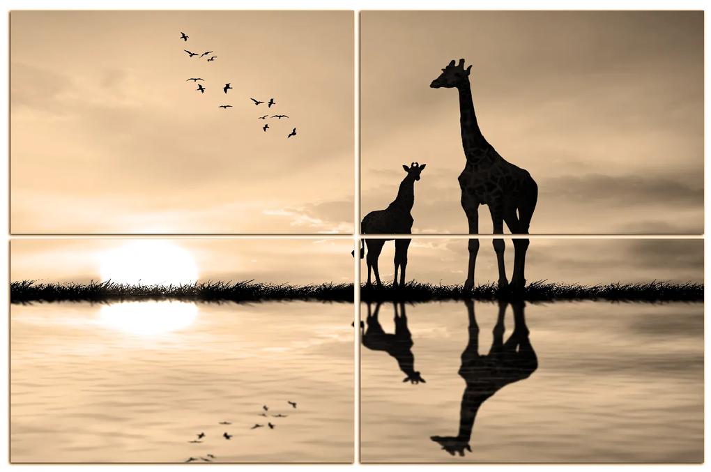 Obraz na plátne - Žirafy silueta 1919FD (90x60 cm)