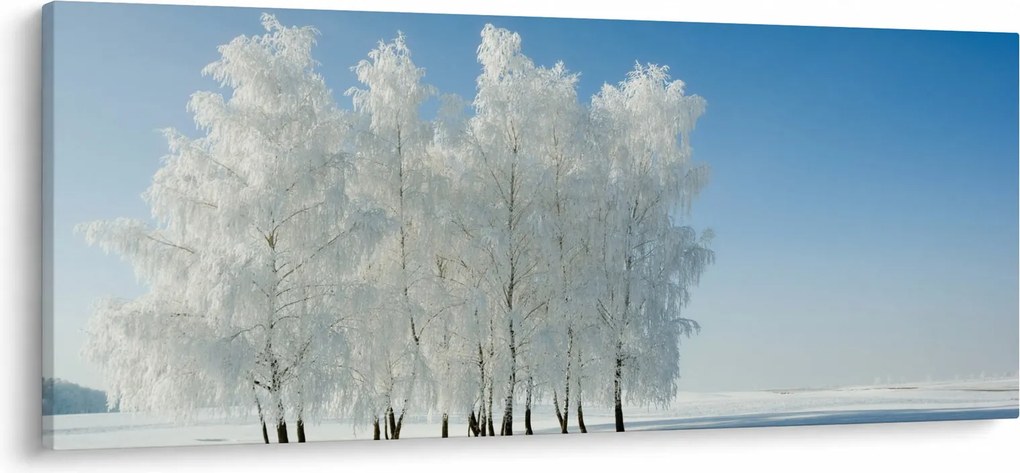 Obraz zasneženej krajiny (120x50 cm)