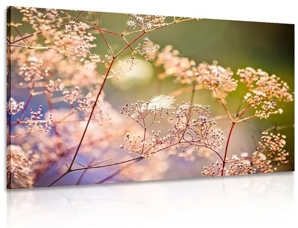 Obraz zátišie z kvetov - 60x40