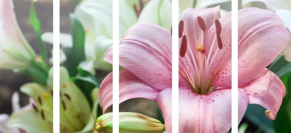 5-dielny obraz ľalia dlhokvetá