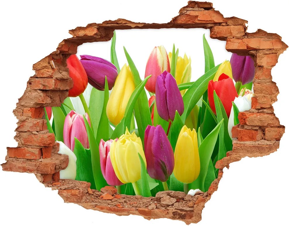 Samolepiaca nálepka na stenu Farebné tulipány WallHole-cegla-90x70-12652067