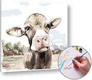 Maľovanie podľa čísel BIG BODY