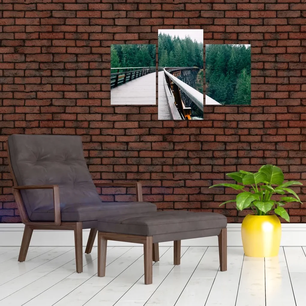 Obraz - Most k vrcholkom stromov (90x60 cm)