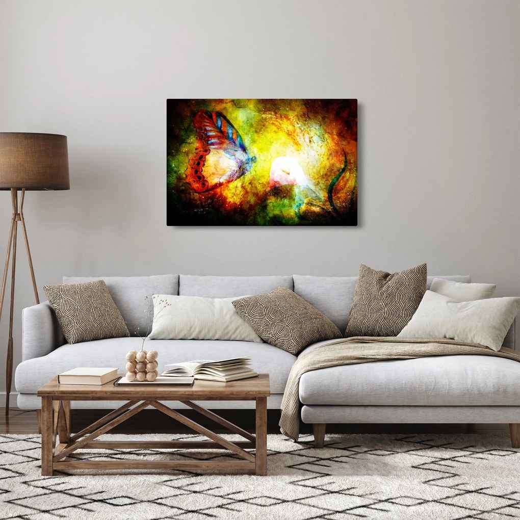 Obraz - Kozmický motýľ (90x60 cm)