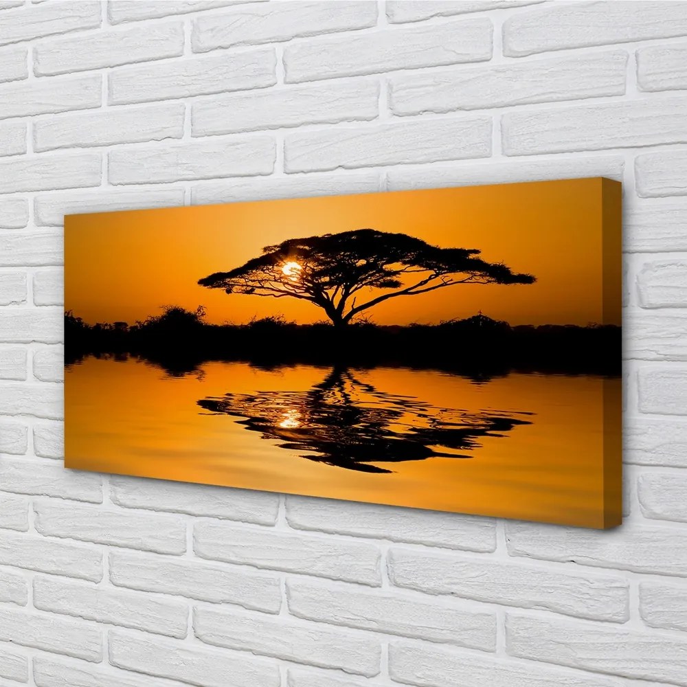 Obraz canvas Sunset tree 120x60 cm