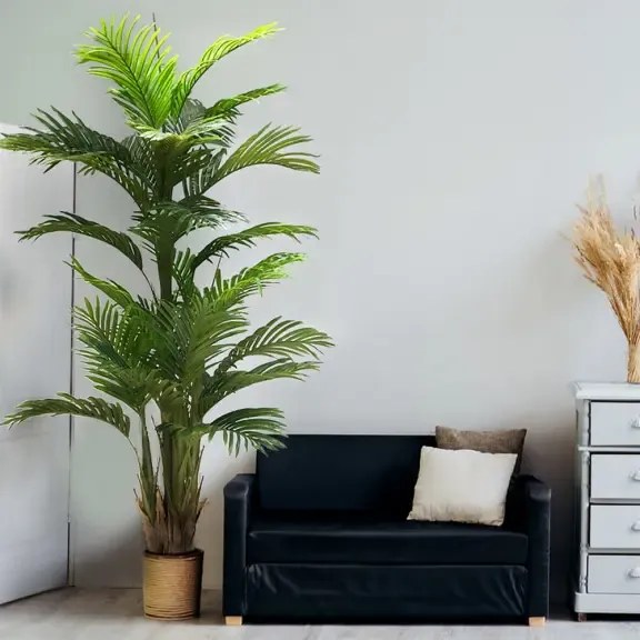 Decorative plant Ravenea 180cm