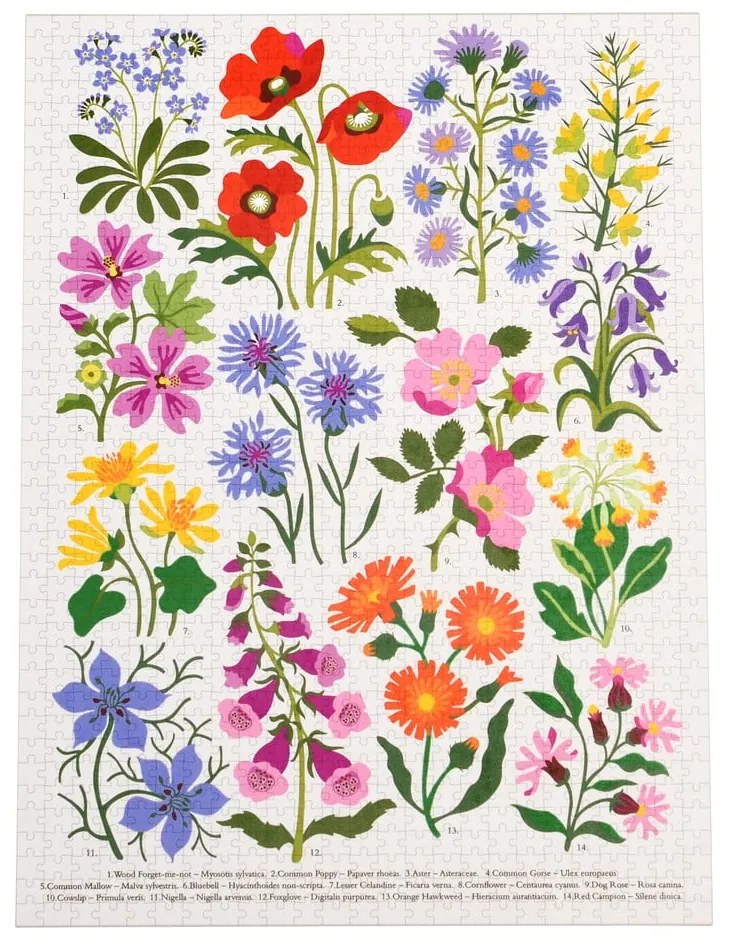 Puzzle (počet dielikov 1000) Wild Flowers – Rex London