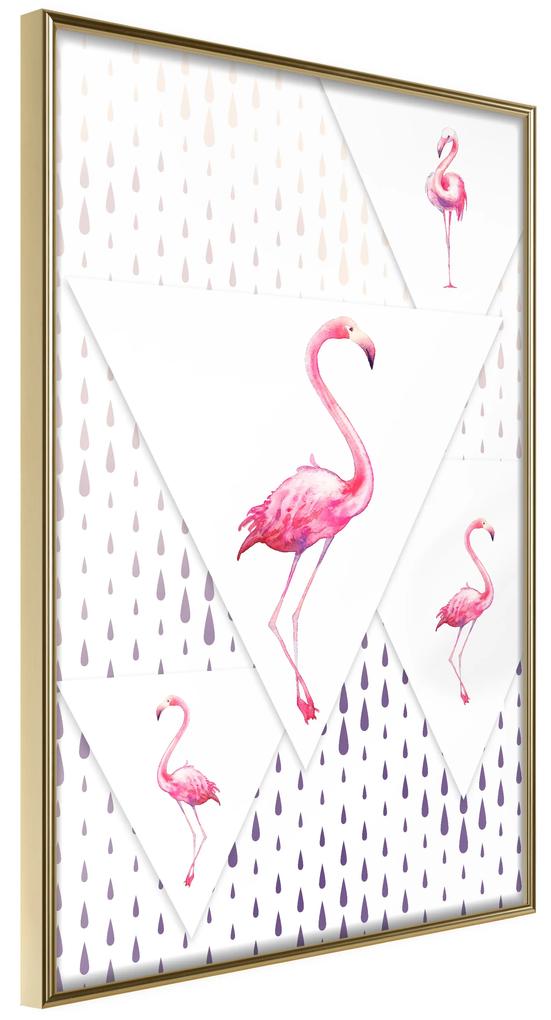 Artgeist Plagát - Flamingo Family [Poster] Veľkosť: 20x30, Verzia: Zlatý rám