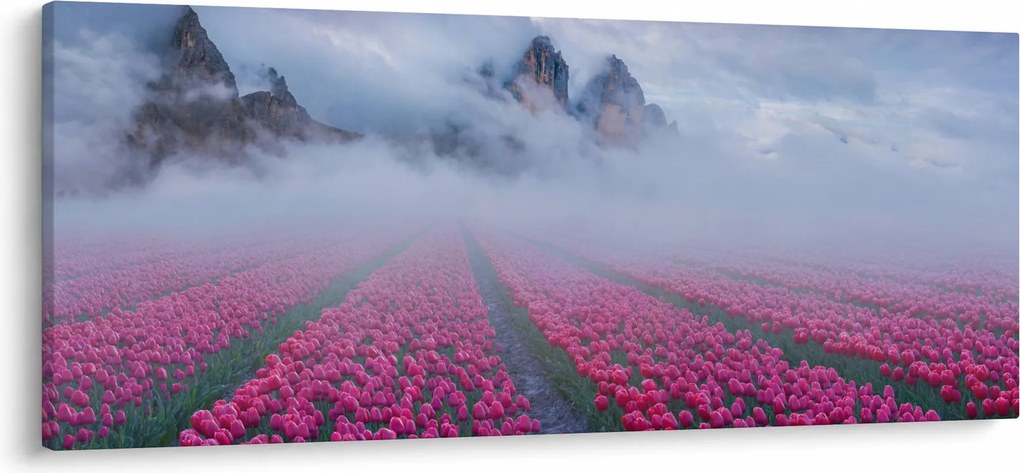 Obraz - Krajina s tulipánovými poľami (120x50 cm)