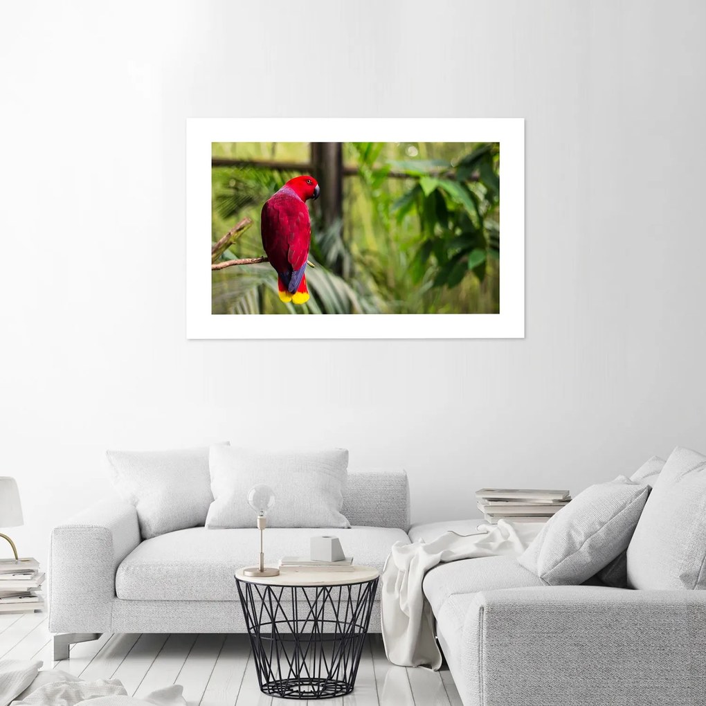Gario Plagát Papagáj z raja Farba rámu: Bez rámu, Rozmery: 60 x 40 cm
