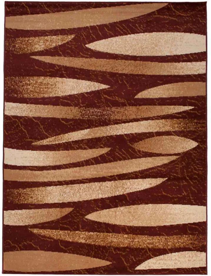 Kusový koberec PP Omin hnedý, Velikosti 160x229cm