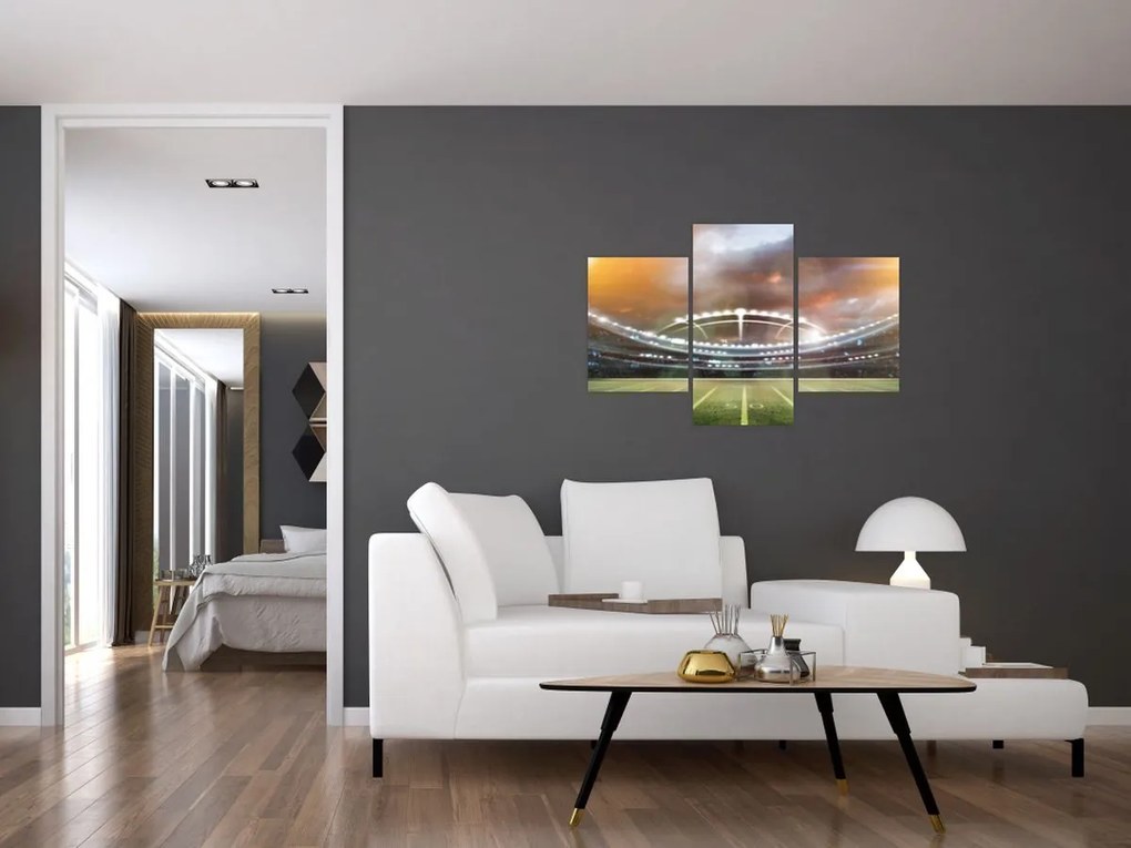 Obraz - Štadión (90x60 cm)