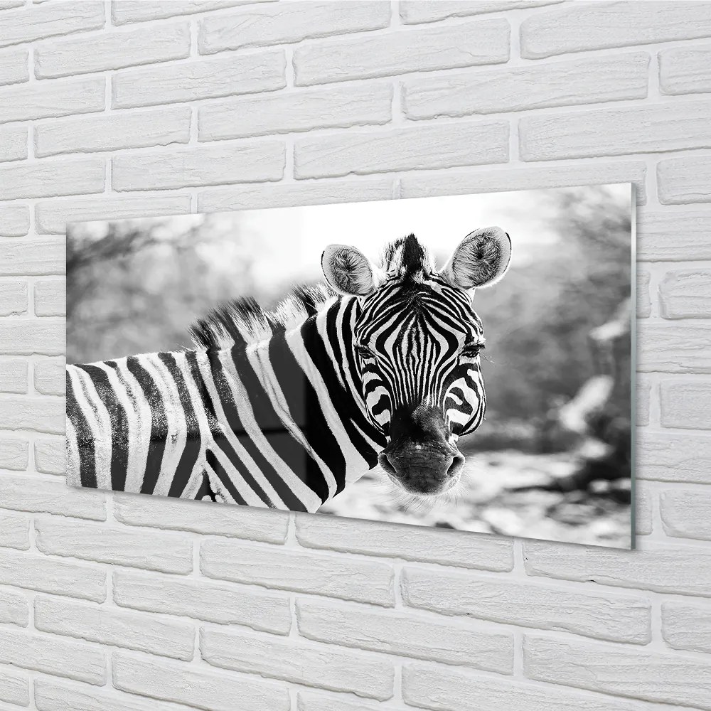 Nástenný panel  retro zebra 120x60 cm